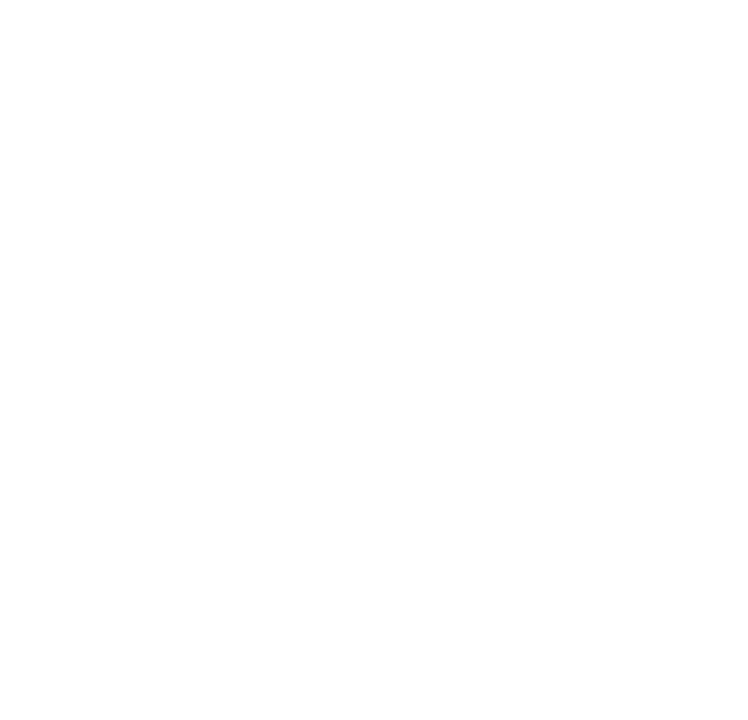 logo for new website